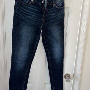 Hudson Jeans Krista Skinny 30